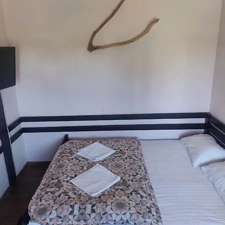 Guest house 